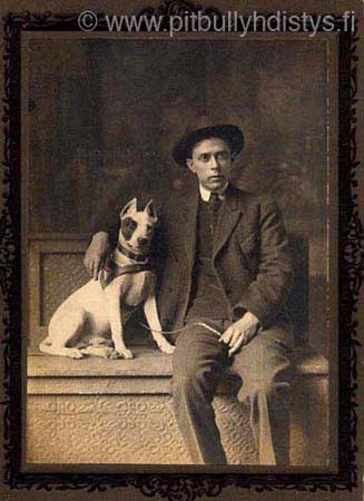 1800smananddog