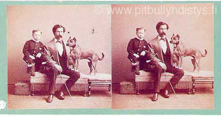 1900stereoview