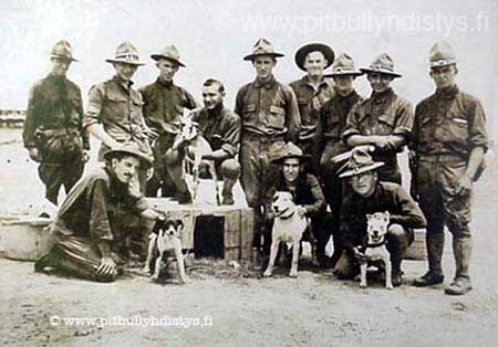 SoldiersDogs
