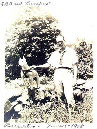 VintageBullTerrierMan