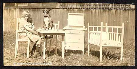 VintageDogTeaParty