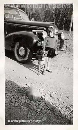 VintageGirlDog