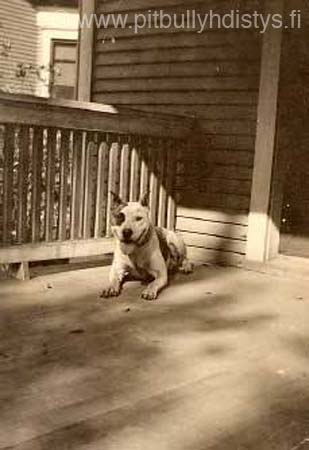 dogonporch_W