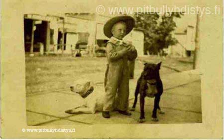 kid_dogs-600x375