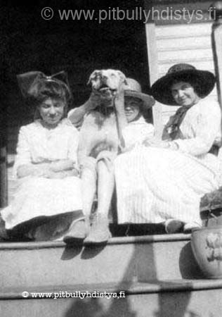 kidsdogporch_W-305x434