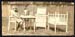 VintageDogTeaParty