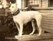 VintagePit1909