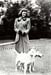 actressbullterrier_W
