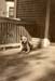 dogonporch_W